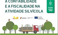 Conferncia A Contabilidade e a Fiscalidade na Atividade Silvcola