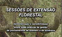 Sesses de Extenso Florestal - Boas praticas de gesto em povoamentos de sobreiro e azinheira