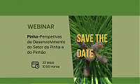 Webinar| 22 de maio 