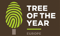  Árvore Europeia do Ano 2021
