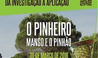 O Pinheiro Manso e o Pinho - Ciclo de sesses: da investigao  aplicao - PROGRAMA J DISPONVEL!