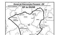 ZIF do DIVOR - Aprovação do Plano de Gestão Florestal
