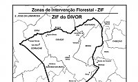 ZIF do DIVOR - Aprovao do Plano de Gesto Florestal