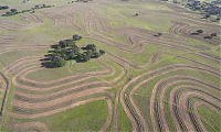 Fichas tcnicas Ecomontado | Montado novo na Herdade do Freixo do Meio Recuperao de solos atravs da agroecologia.