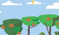 INFOGRAFIAS | CCPM - Centro de Competncias do Pinheiro Manso