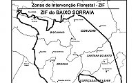 ZIF do BAIXO SORRAIA - Aprovao do Plano de Gesto Florestal