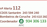 POP - Plano Operacional de Preveno