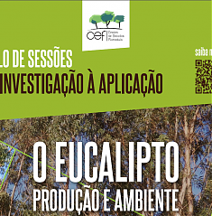 O Eucalipto, Produo e Ambiente - Ciclo de Sesses da Investigao  Aplicao