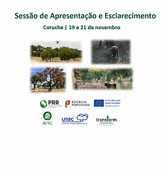 Tcnologia area ao servio da floresta | Gesto sustentvel do montado