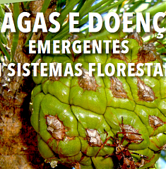 Pragas e Doenças Emergentes em Sistemas Florestais - 8 de Junho de 2017