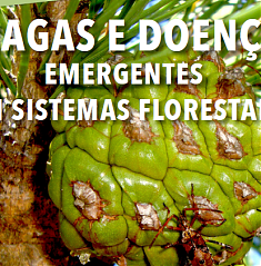 Pragas e Doenas Emergentes em Sistemas Florestais - 8 de Junho de 2017