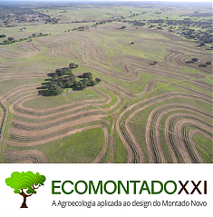 Fichas técnicas Ecomontado | Montado novo na Herdade do Freixo do Meio Recuperação de solos através da agroecologia.