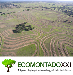 Fichas tcnicas Ecomontado | Montado novo na Herdade do Freixo do Meio Recuperao de solos atravs da agroecologia.