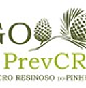 Prevenção do Cancro Resinoso do Pinheiro: Folheto informativo