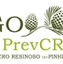 Preveno do Cancro Resinoso do Pinheiro: Folheto informativo