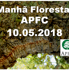 Manhã Florestal APFC 2018 | Apresentações já disponíveis