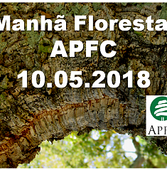 Manh Florestal APFC 2018 | Apresentaes j disponveis