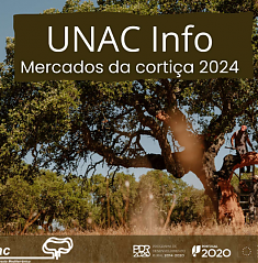 Info Mercados 2023 e 2024