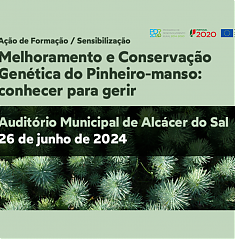 Formao | 26 jun | Alccer do Sal