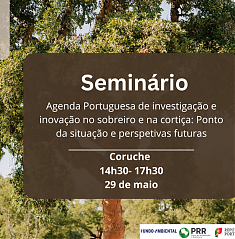 FICOR 2025 |Seminrio | 29 de maio | Programa e inscries