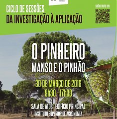 O Pinheiro Manso e o Pinho - Ciclo de sesses: da investigao  aplicao - PROGRAMA J DISPONVEL!