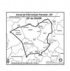 ZIF do DIVOR - Aprovao do Plano de Gesto Florestal