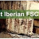 First Iberian FSC Business Encounter