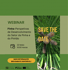Webinar| 22 de maio 