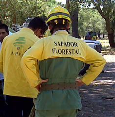Defesa da Floresta Contra Incêndios da prevenção à primeira intervenção | Sessão de divulgação e formação