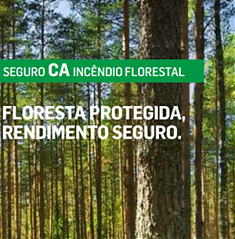 Campanha de Subscrio de Seguro Florestal 2022