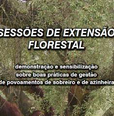 Sessões de Extensão Florestal - Boas praticas de gestão em povoamentos de sobreiro e azinheira