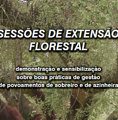 Sesses de Extenso Florestal - Boas praticas de gesto em povoamentos de sobreiro e azinheira