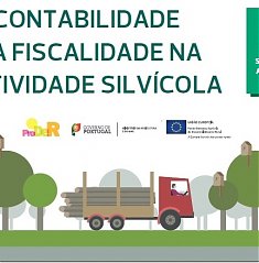 Conferncia A Contabilidade e a Fiscalidade na Atividade Silvcola