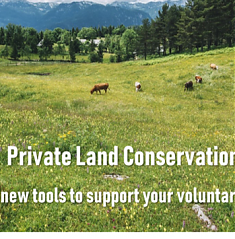 Inquérito - Private Land Conservation